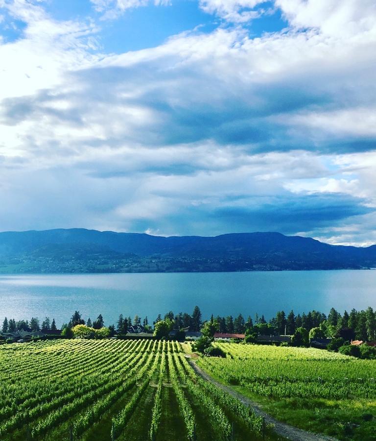 Bed and Breakfast Summerhill Estate House Kelowna Exterior foto